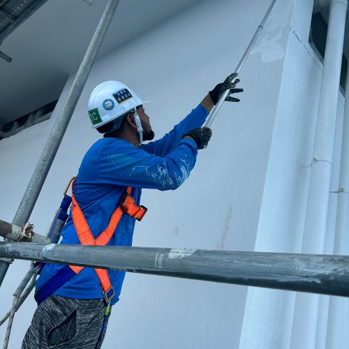 our painting projects (11)