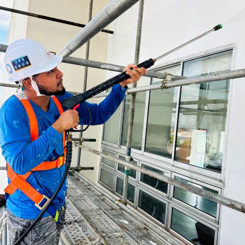 our painting projects (13)